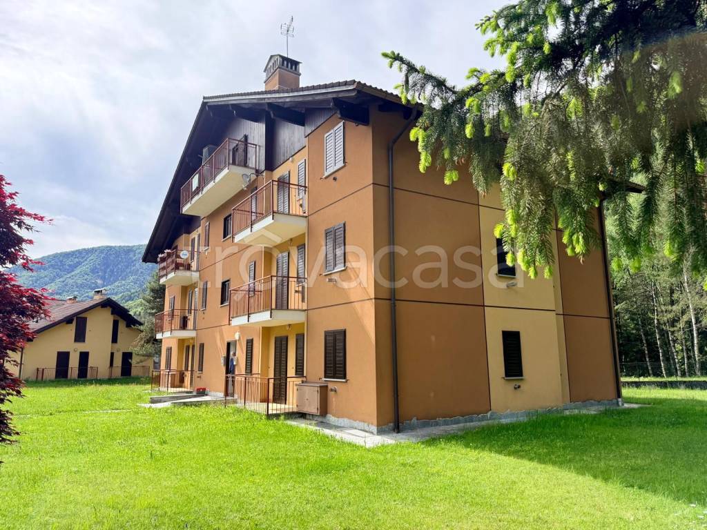immagine annuncio 7 di 15