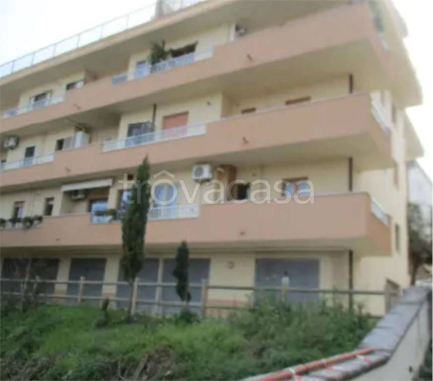 immagine annuncio 4 di 14