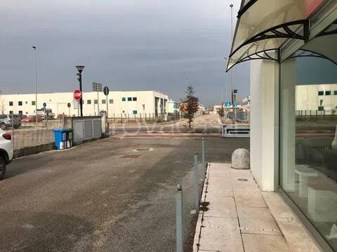 immagine annuncio 8 di 14