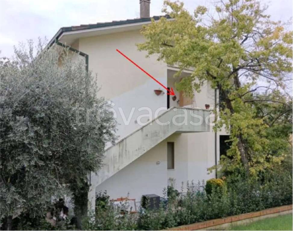 immagine annuncio 6 di 12