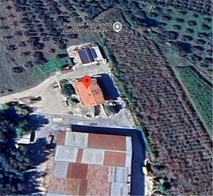 immagine annuncio 9 di 12