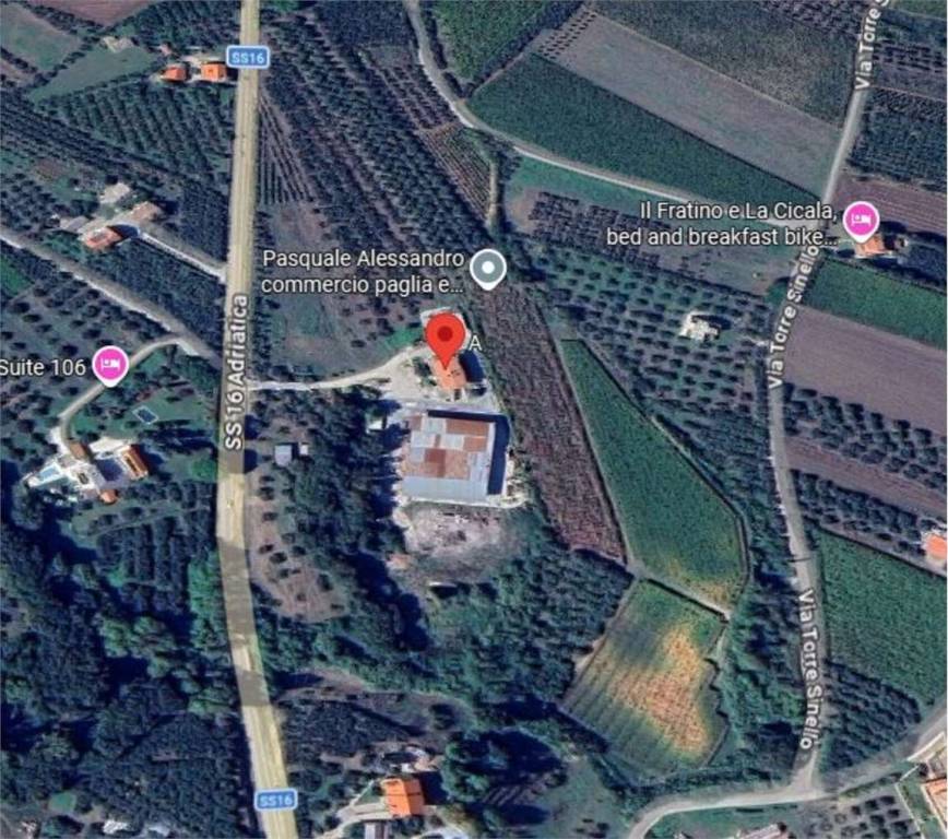 immagine annuncio 10 di 12