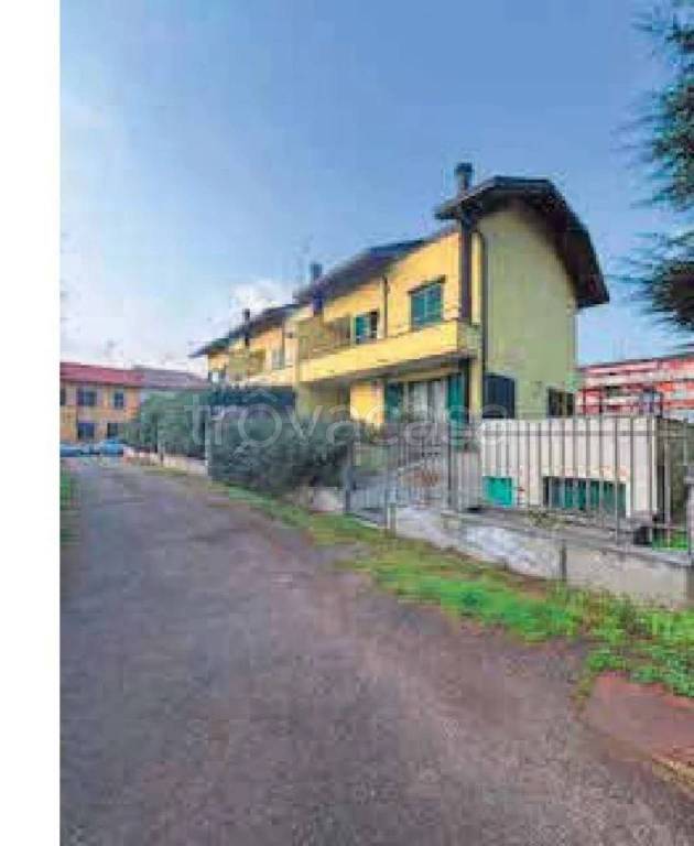 immagine annuncio 1 di 15