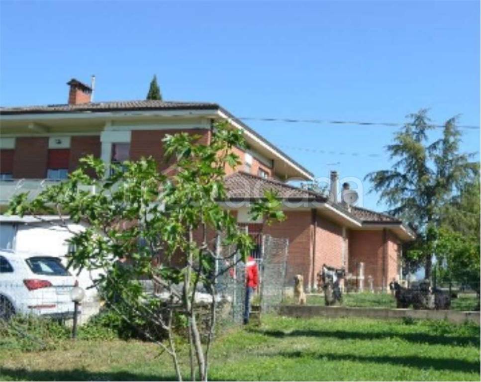 immagine annuncio 3 di 14