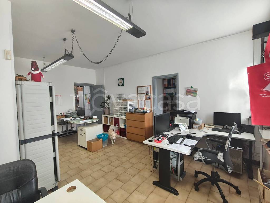 immagine annuncio 9 di 15