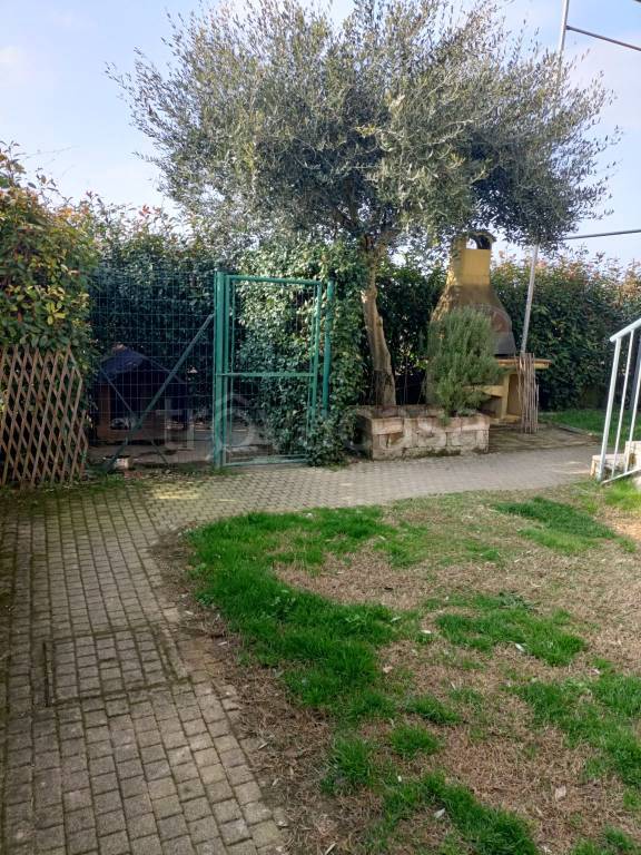 immagine annuncio 2 di 15