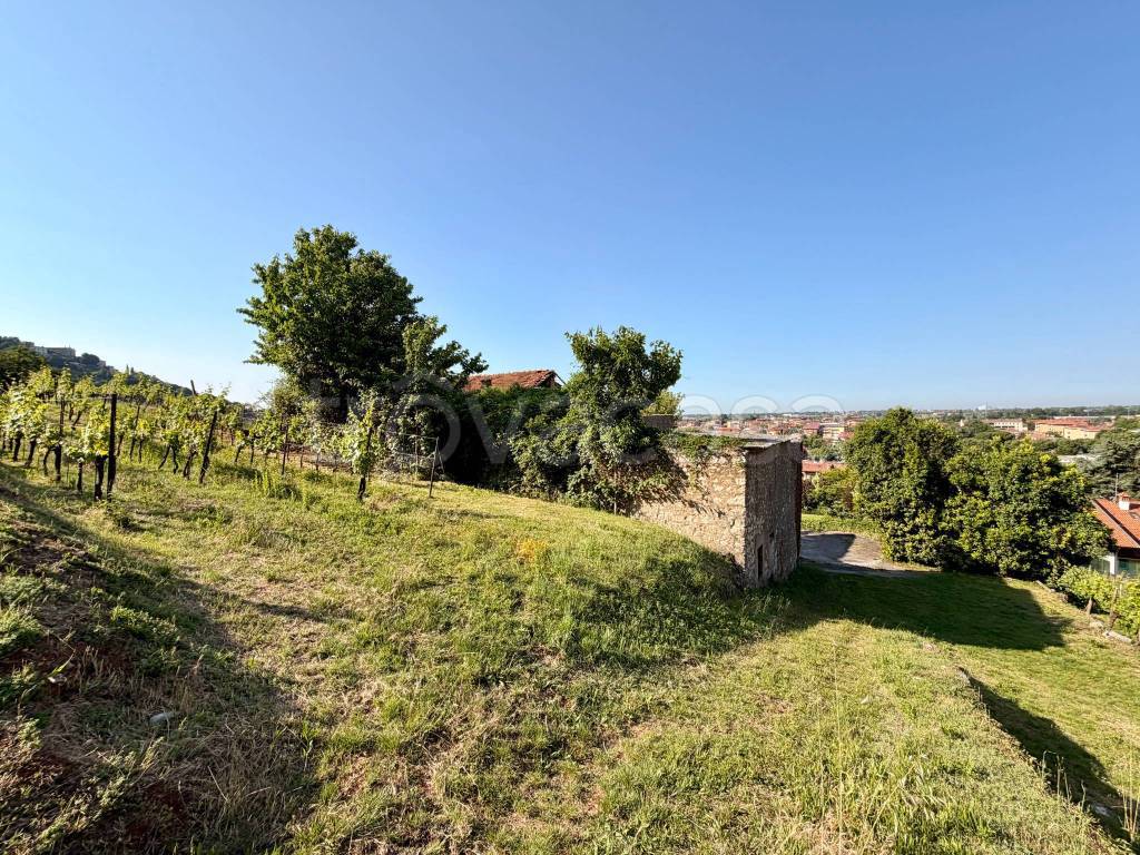 immagine annuncio 5 di 6