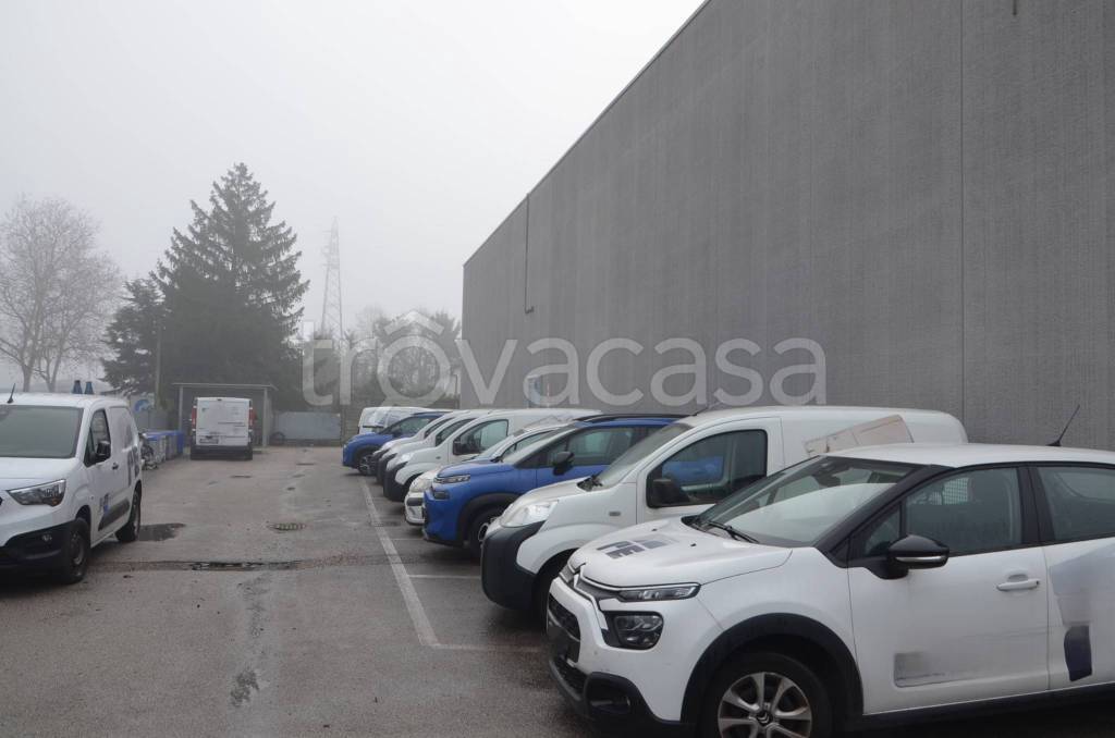 immagine annuncio 6 di 15