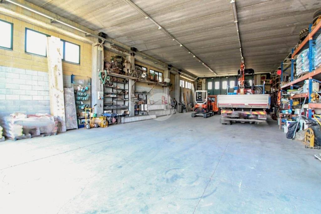 immagine annuncio 6 di 15