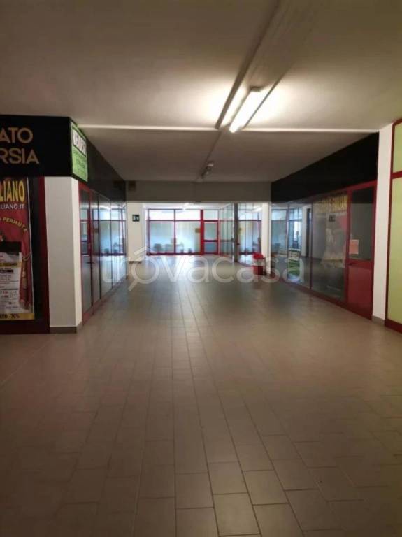 immagine annuncio 9 di 14