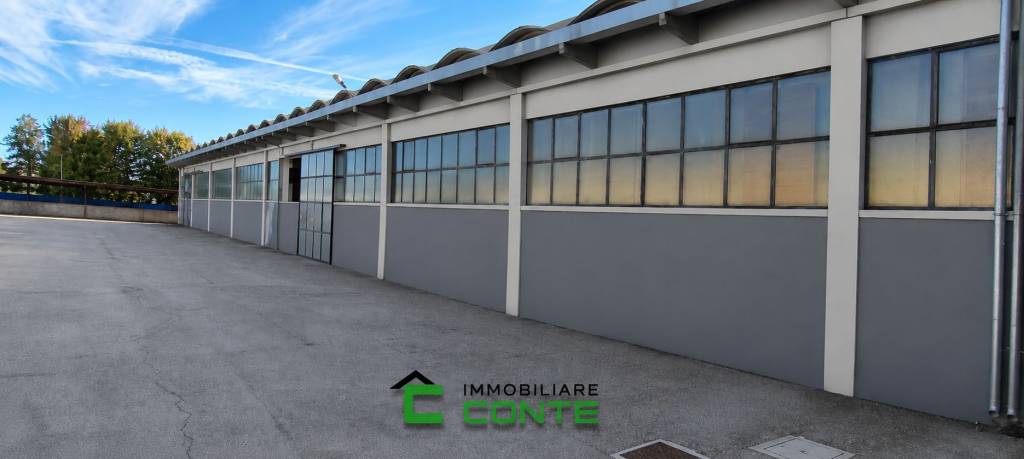 immagine annuncio 7 di 9