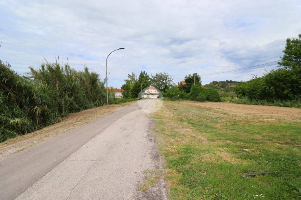 immagine annuncio 10 di 12