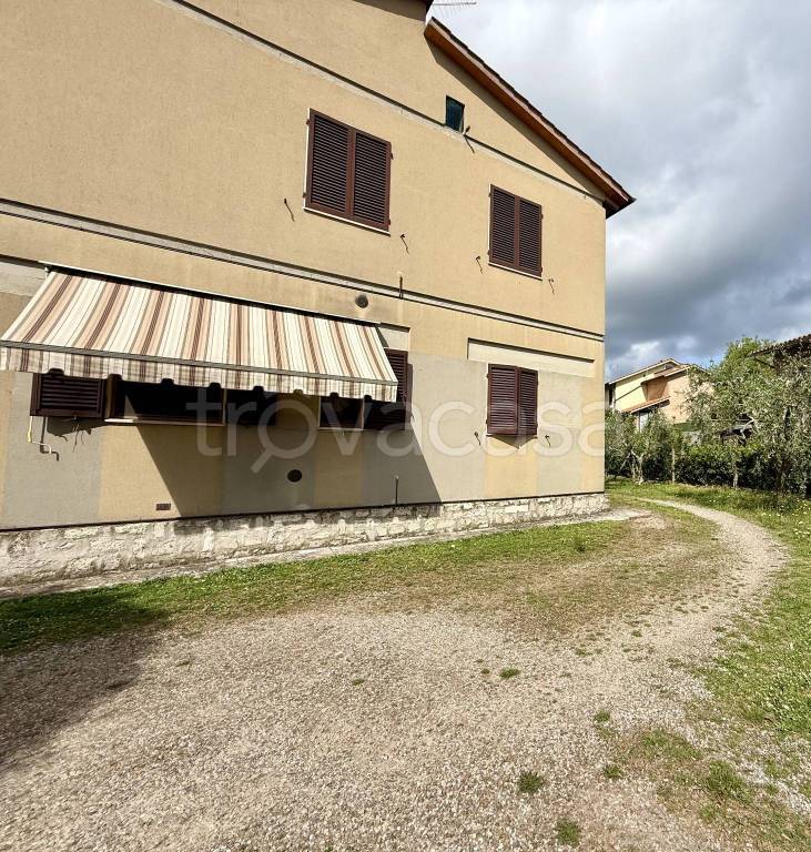 immagine annuncio 4 di 14