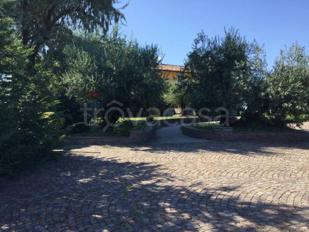 immagine annuncio 8 di 15