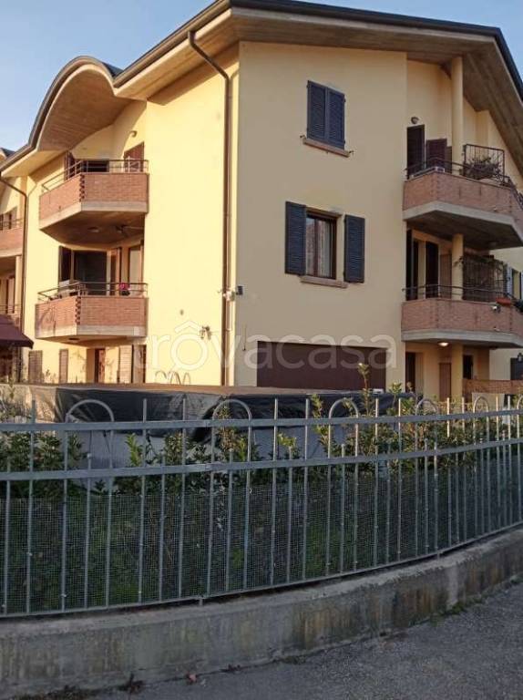 immagine annuncio 7 di 15
