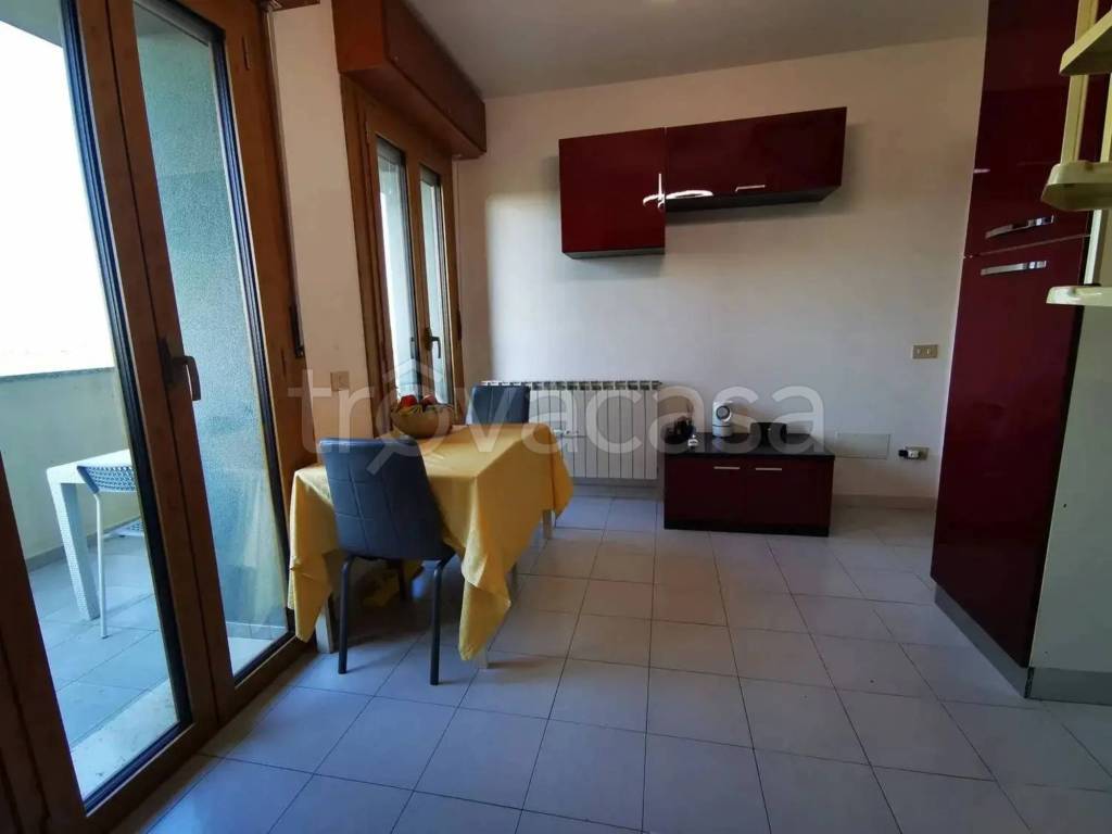 immagine annuncio 9 di 12