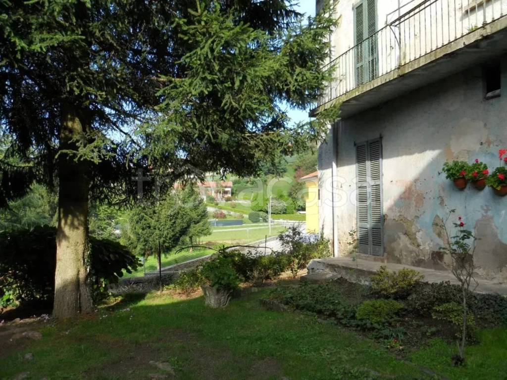immagine annuncio 5 di 12