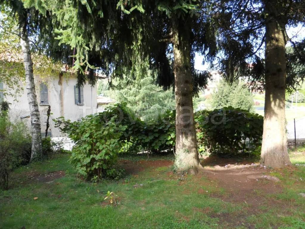 immagine annuncio 3 di 12