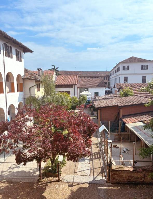 immagine annuncio 8 di 11