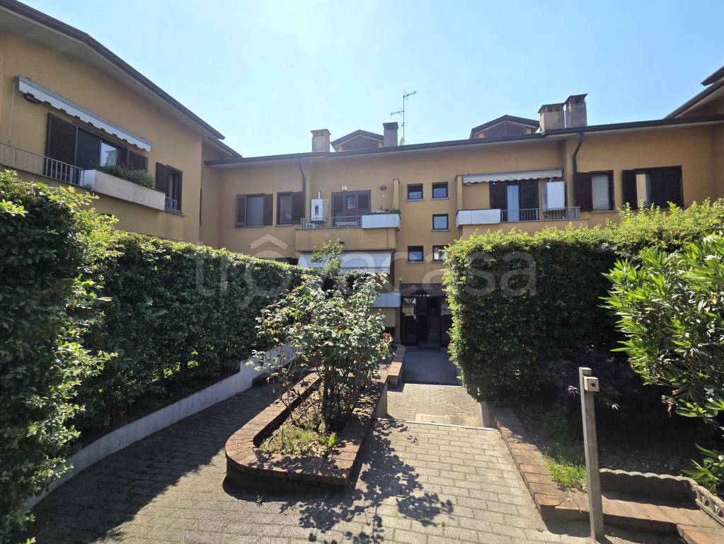 immagine annuncio 11 di 13