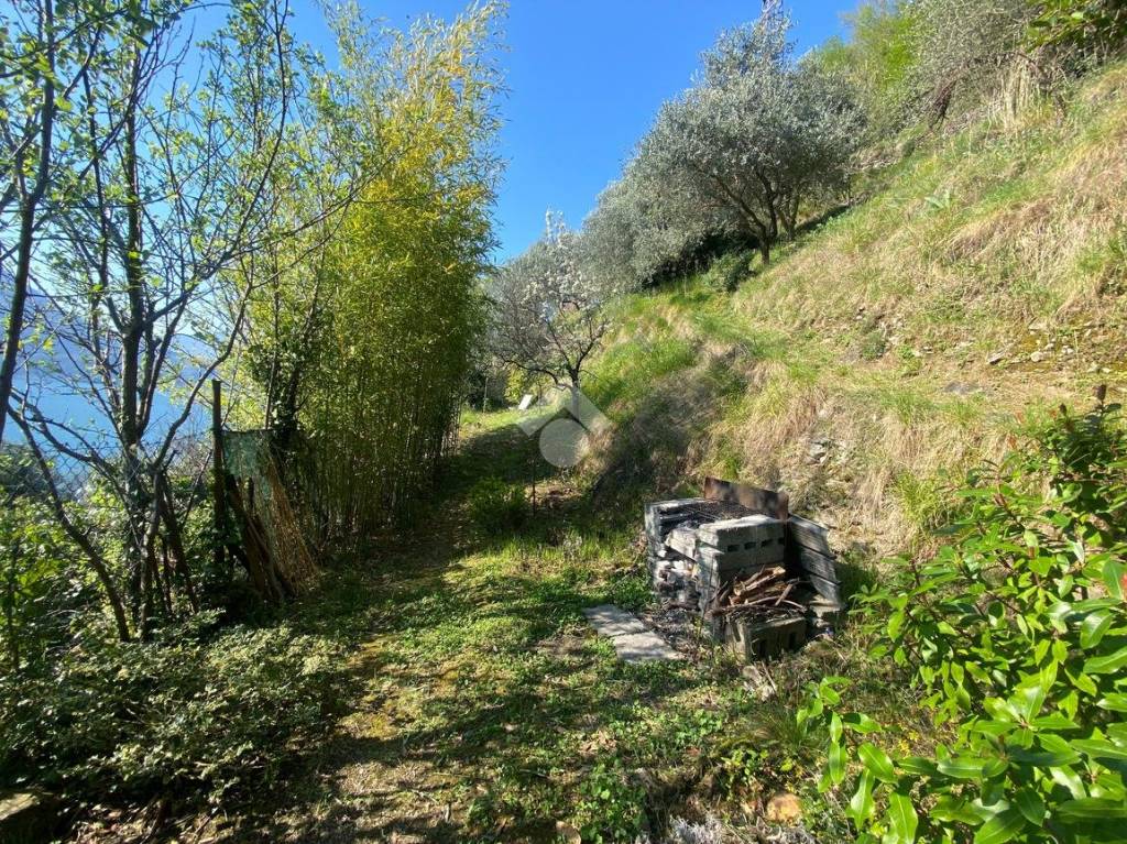 immagine annuncio 10 di 12