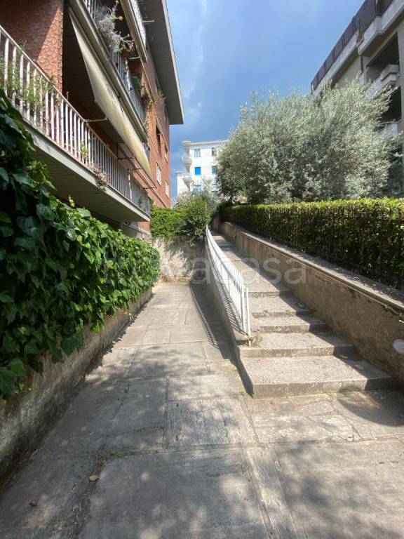 immagine annuncio 10 di 12