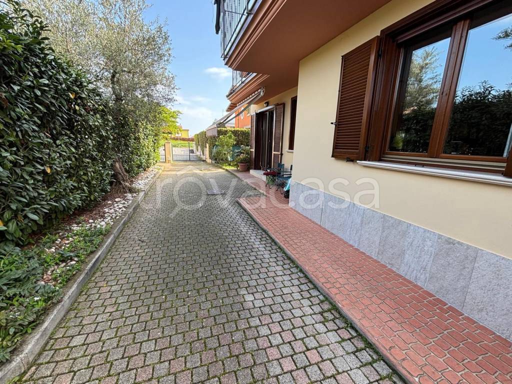 immagine annuncio 11 di 15