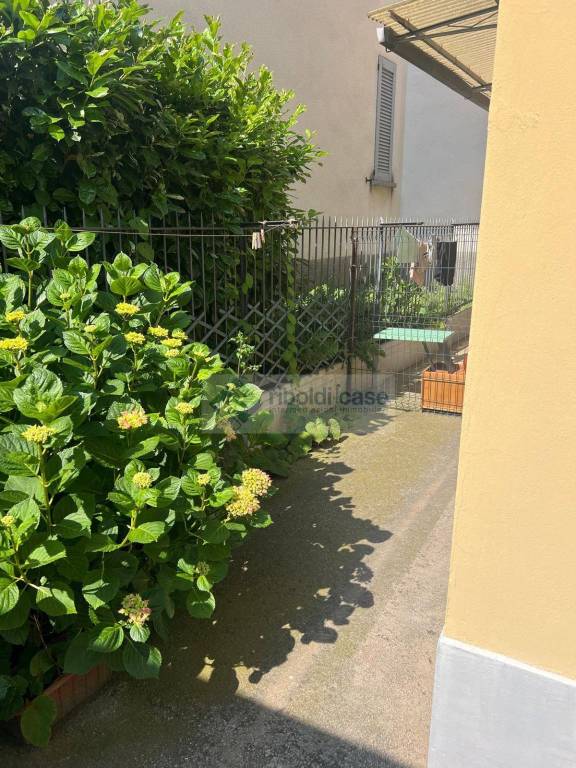 immagine annuncio 9 di 12