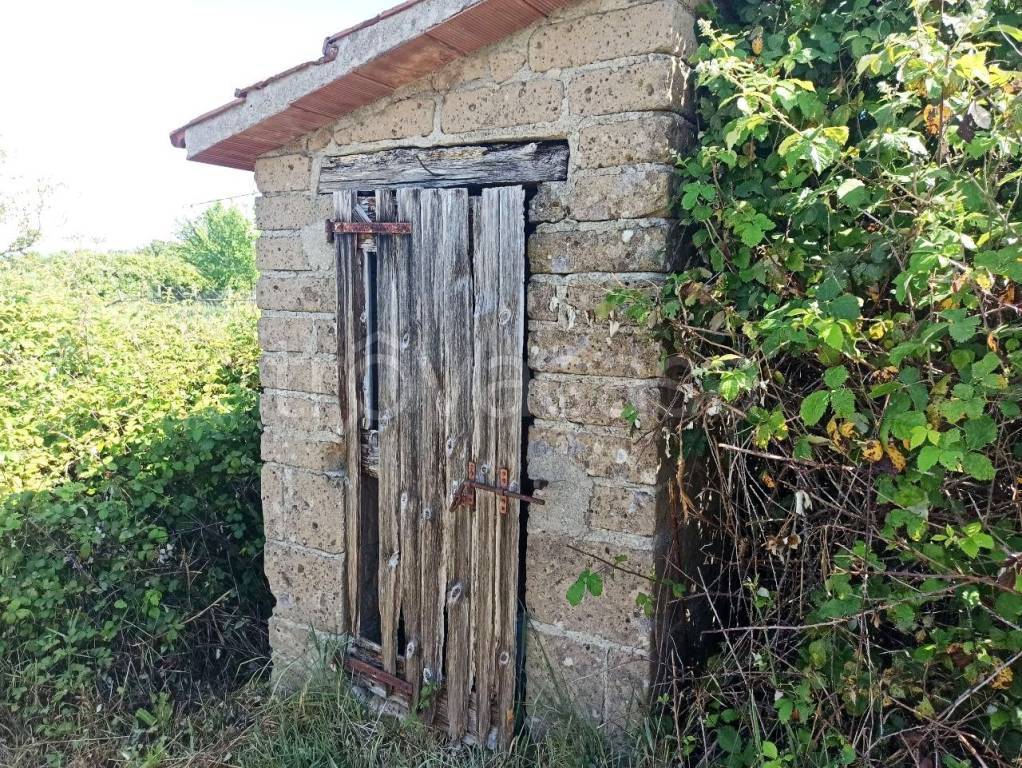 immagine annuncio 3 di 11