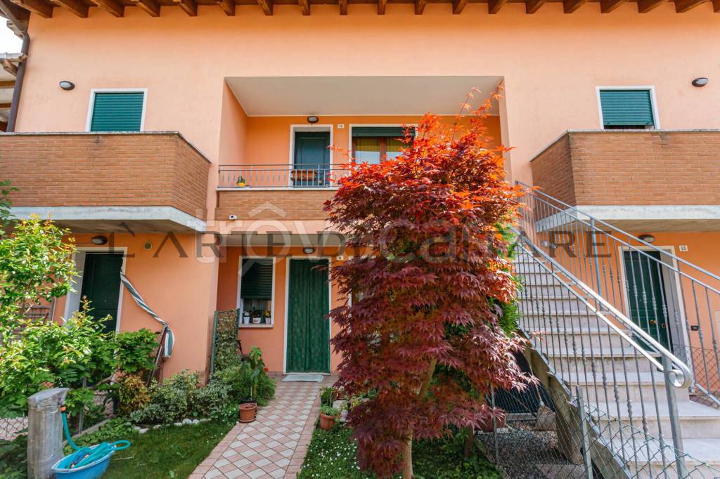 immagine annuncio 2 di 15