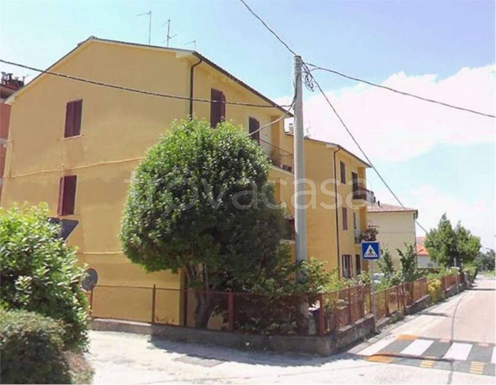 immagine annuncio 9 di 12