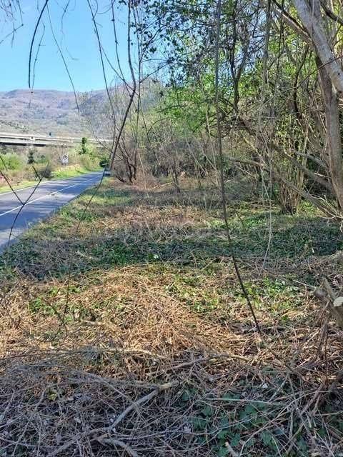 immagine annuncio 9 di 14