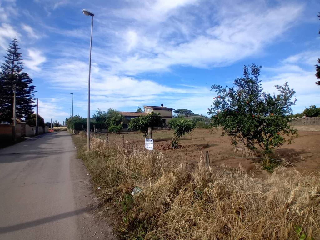 immagine annuncio 1 di 14