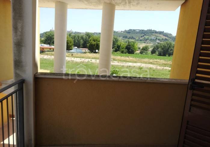 immagine annuncio 8 di 12