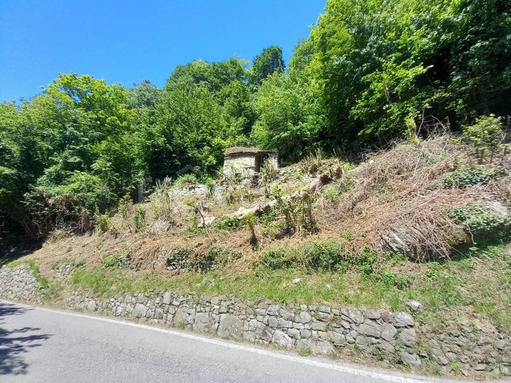 immagine annuncio 4 di 13