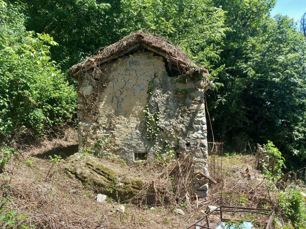 immagine annuncio 5 di 13