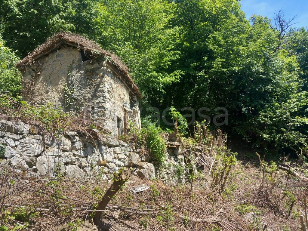 immagine annuncio 7 di 13