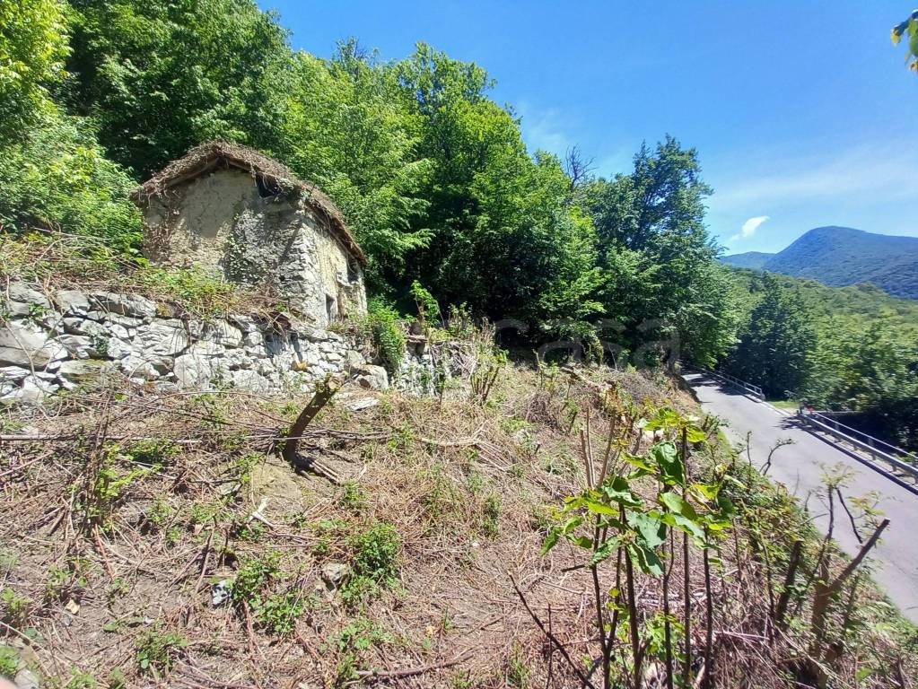 immagine annuncio 8 di 13
