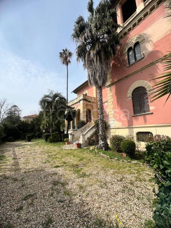 immagine annuncio 8 di 14