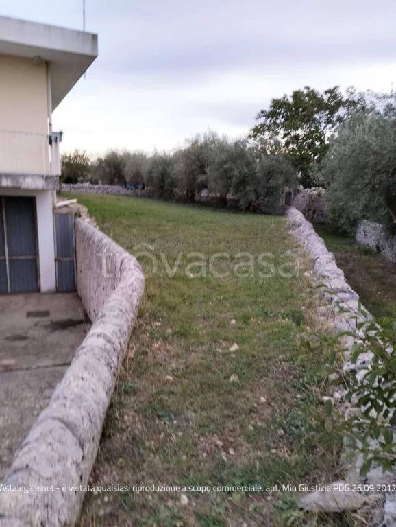 immagine annuncio 4 di 12