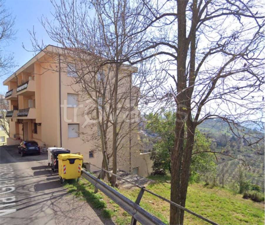 immagine annuncio 11 di 14