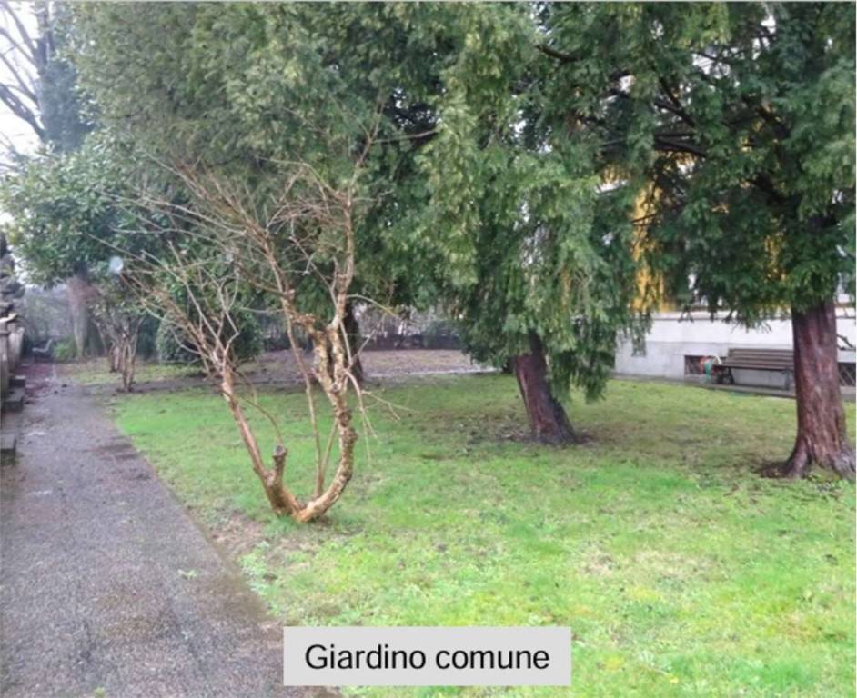 immagine annuncio 10 di 14