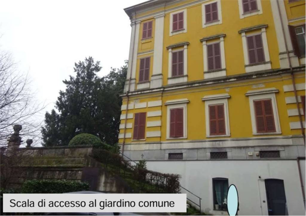 immagine annuncio 11 di 14