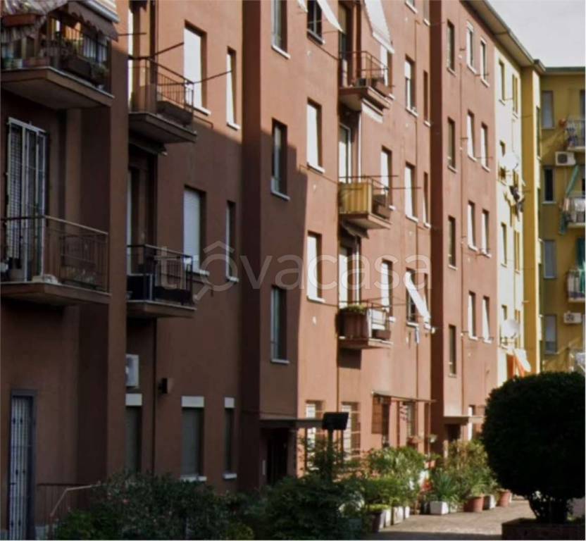 immagine annuncio 4 di 14