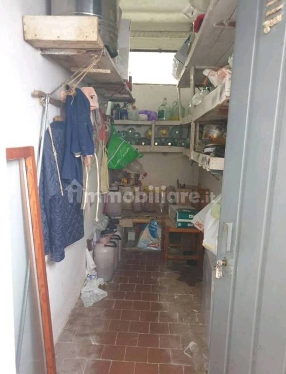 immagine annuncio 10 di 14