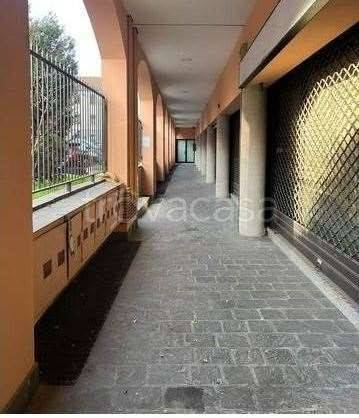 immagine annuncio 3 di 14
