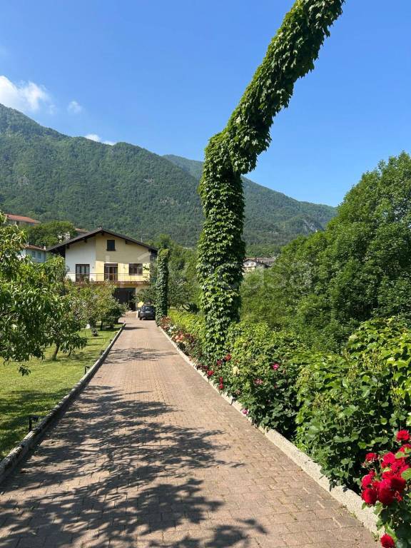 immagine annuncio 1 di 15
