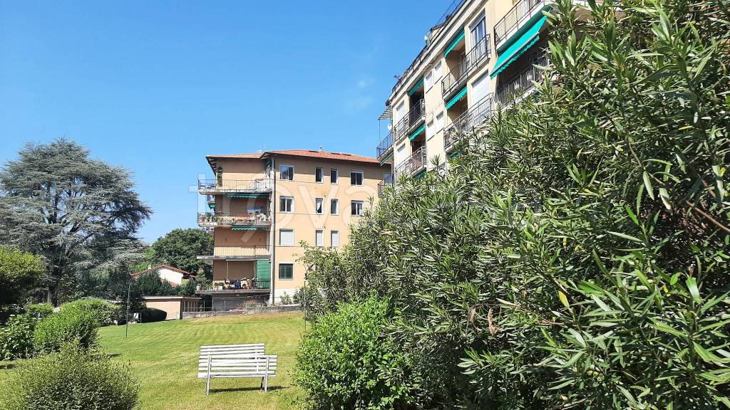 immagine annuncio 6 di 11