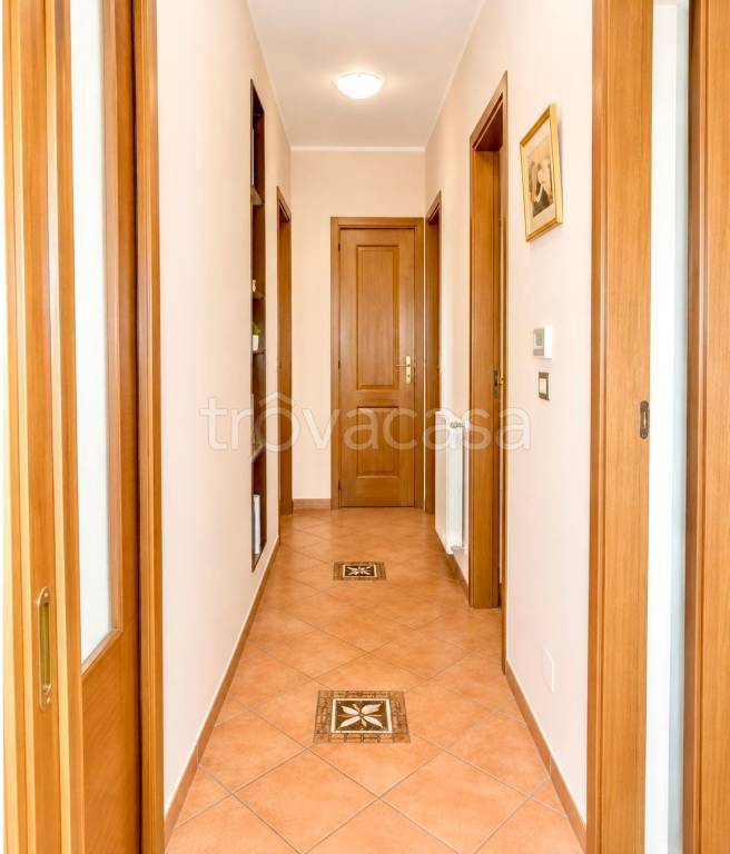 immagine annuncio 6 di 14