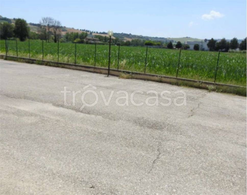 immagine annuncio 10 di 14